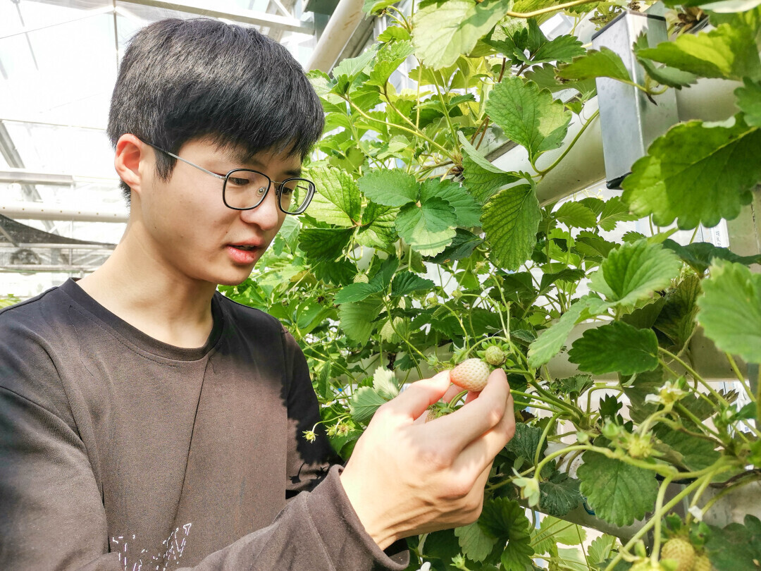 古天乐代言太阳集团网址