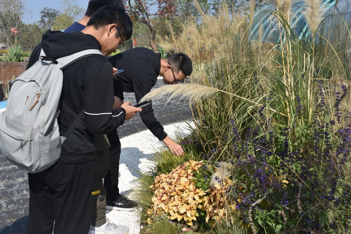 古天乐代言太阳集团网址