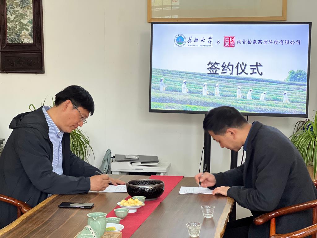 古天乐代言太阳集团网址