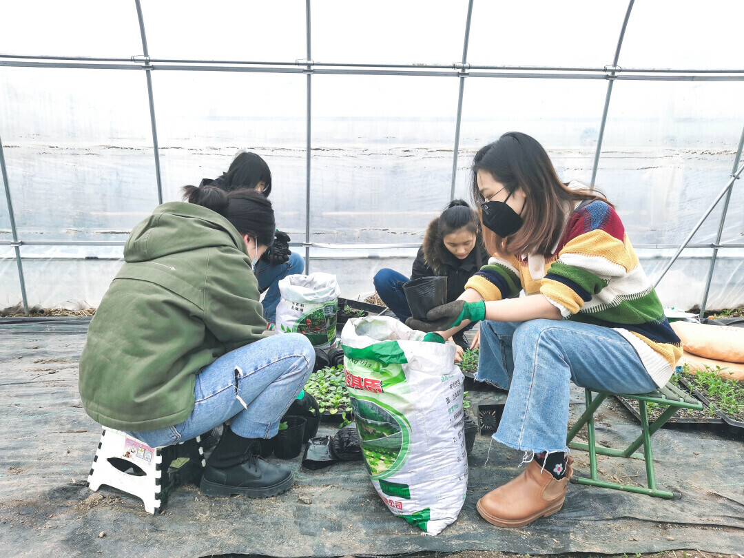 古天乐代言太阳集团网址