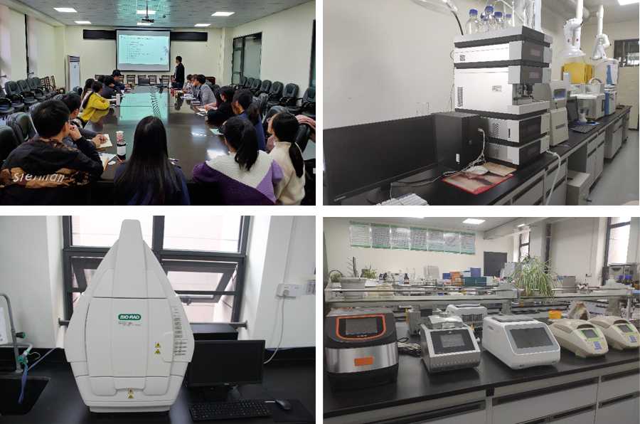 古天乐代言太阳集团网址