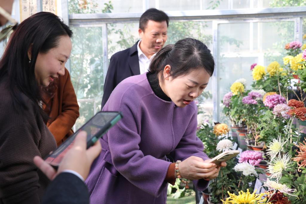 古天乐代言太阳集团网址