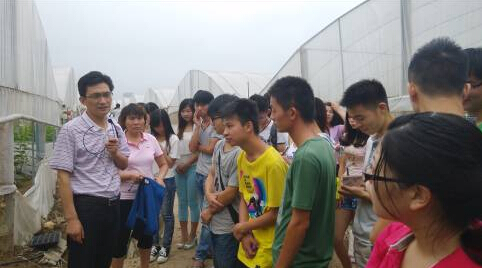 古天乐代言太阳集团网址