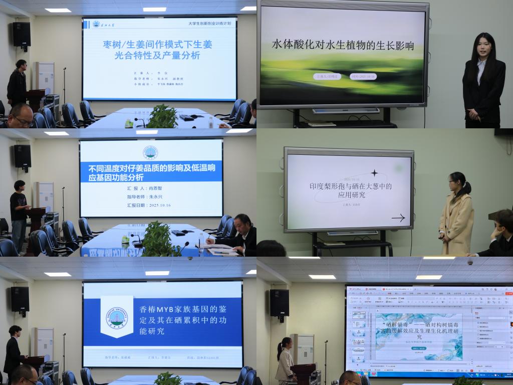 古天乐代言太阳集团网址