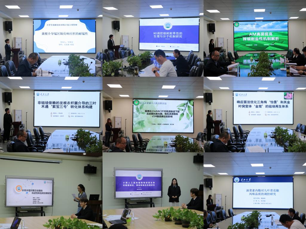 古天乐代言太阳集团网址