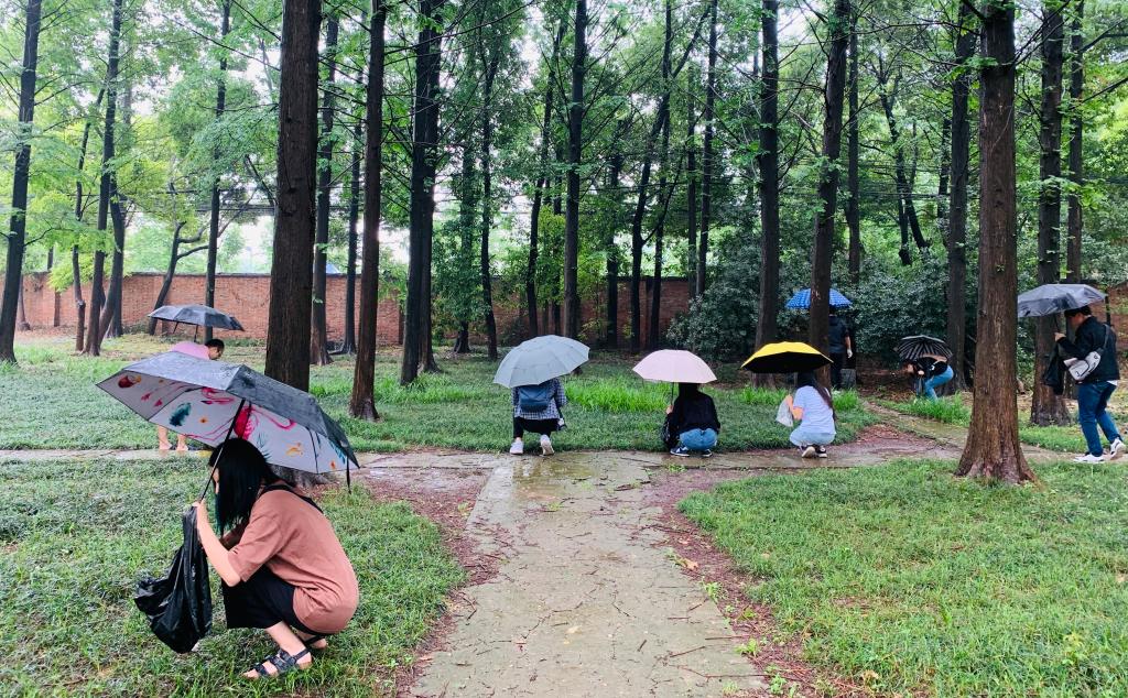 古天乐代言太阳集团网址