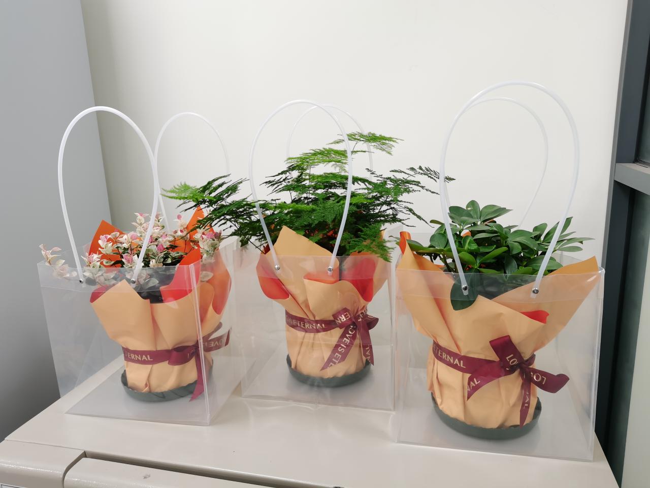 古天乐代言太阳集团网址