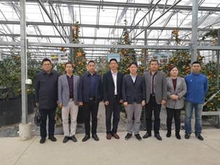 古天乐代言太阳集团网址