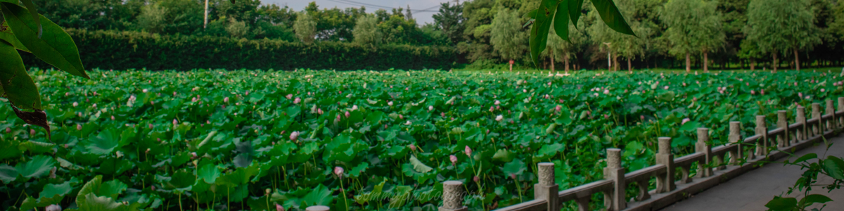 古天乐代言太阳集团网址